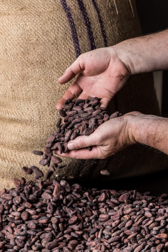 Fèves de cacao brutes de São Tomé, puisées dans leur sac de jute (© Marianne Louge)