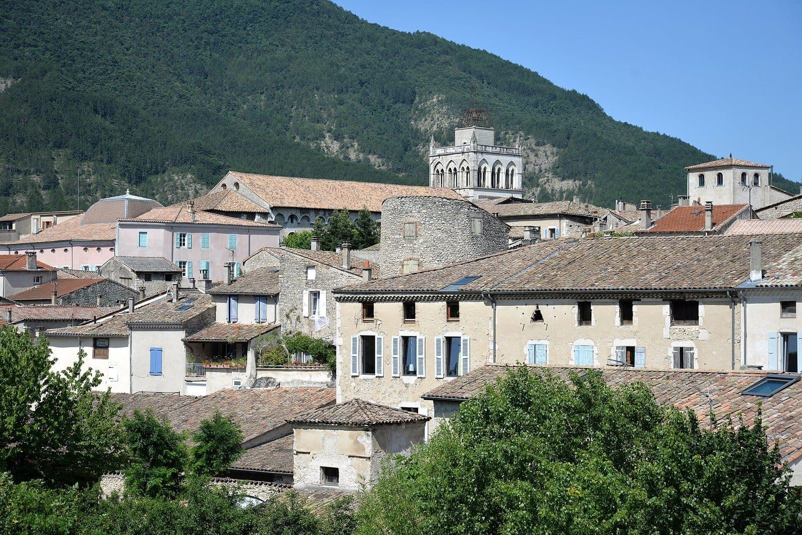 The tiled roofs and old façades of Die, overlooked by the bell tower of the former cathedral, at the foot of a wooded mountain.